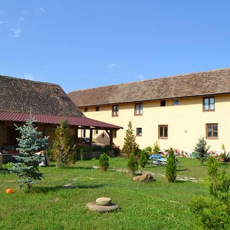 Cincu Casa Maria 아파트 외부 사진