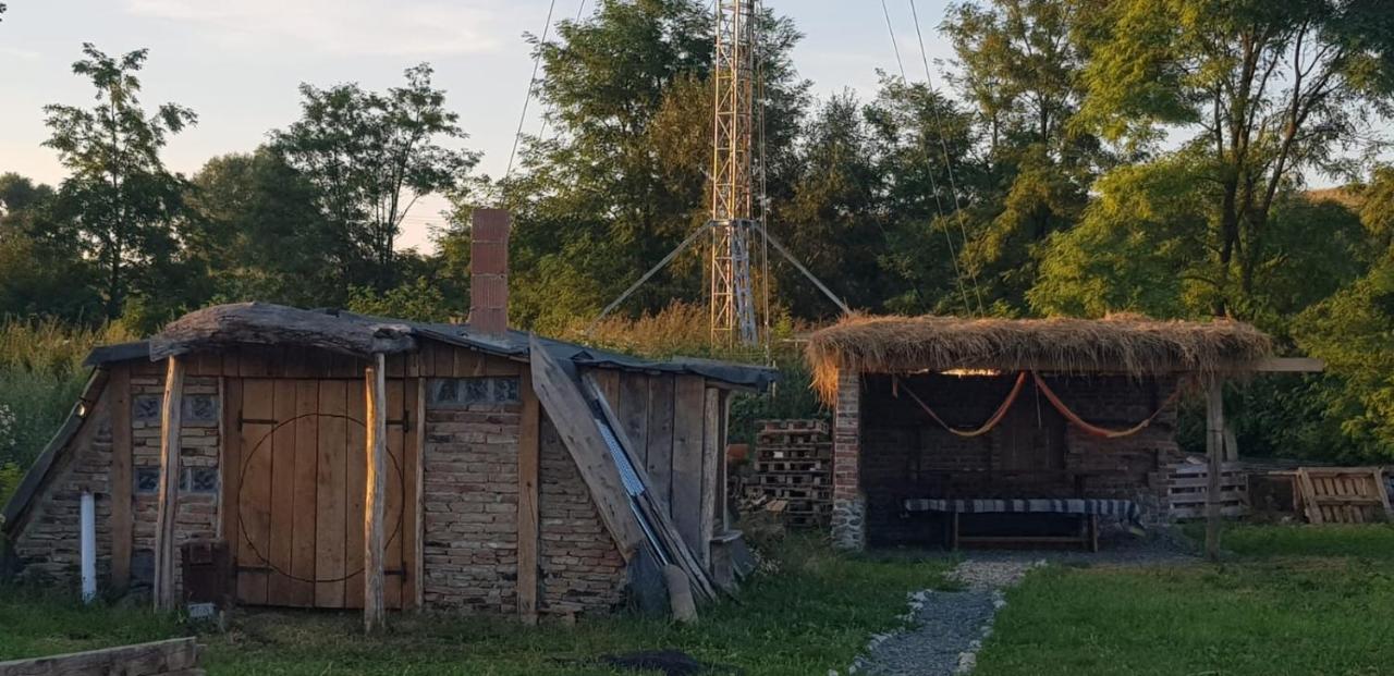 Cincu Casa Maria 아파트 외부 사진