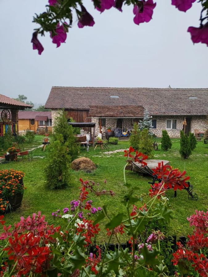 Cincu Casa Maria 아파트 외부 사진