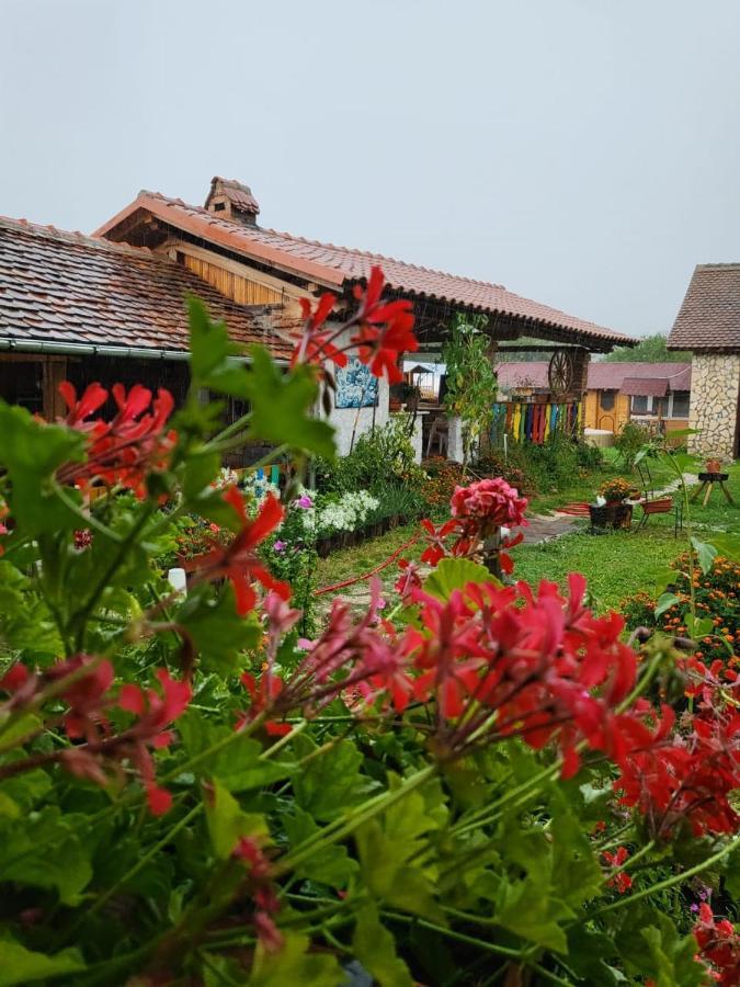 Cincu Casa Maria 아파트 외부 사진