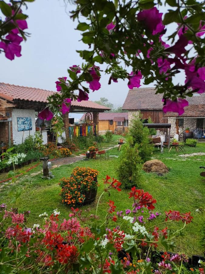 Cincu Casa Maria 아파트 외부 사진