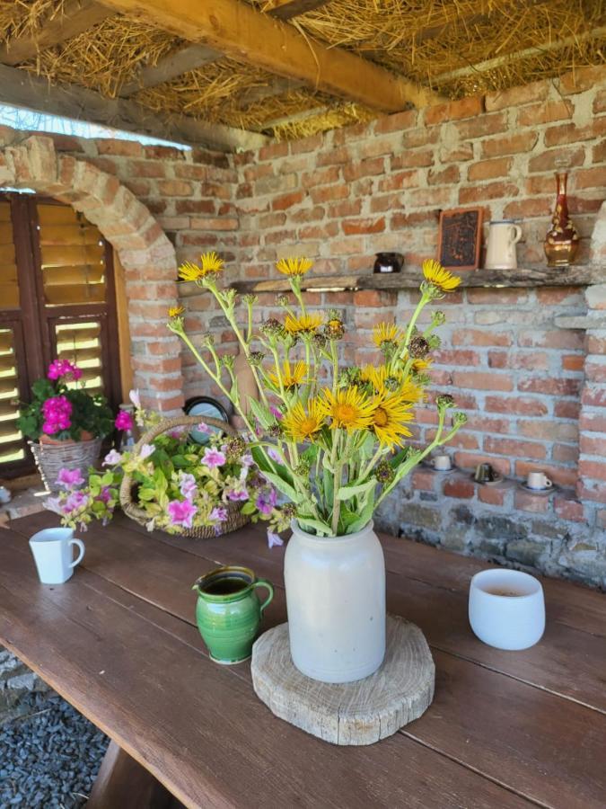 Cincu Casa Maria 아파트 외부 사진