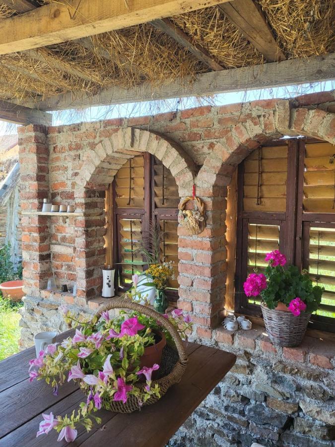 Cincu Casa Maria 아파트 외부 사진