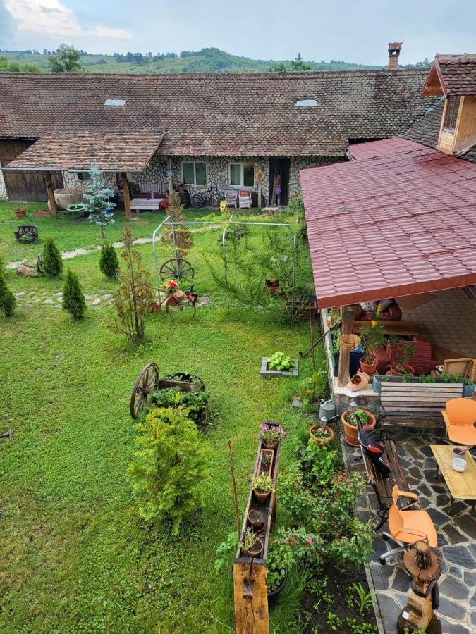 Cincu Casa Maria 아파트 외부 사진