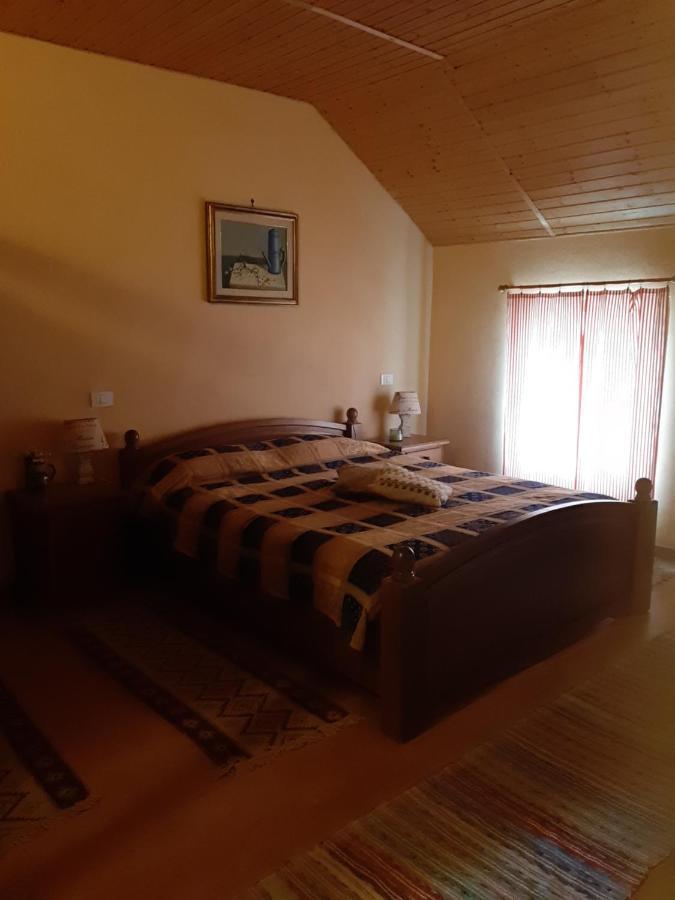 Cincu Casa Maria 아파트 외부 사진