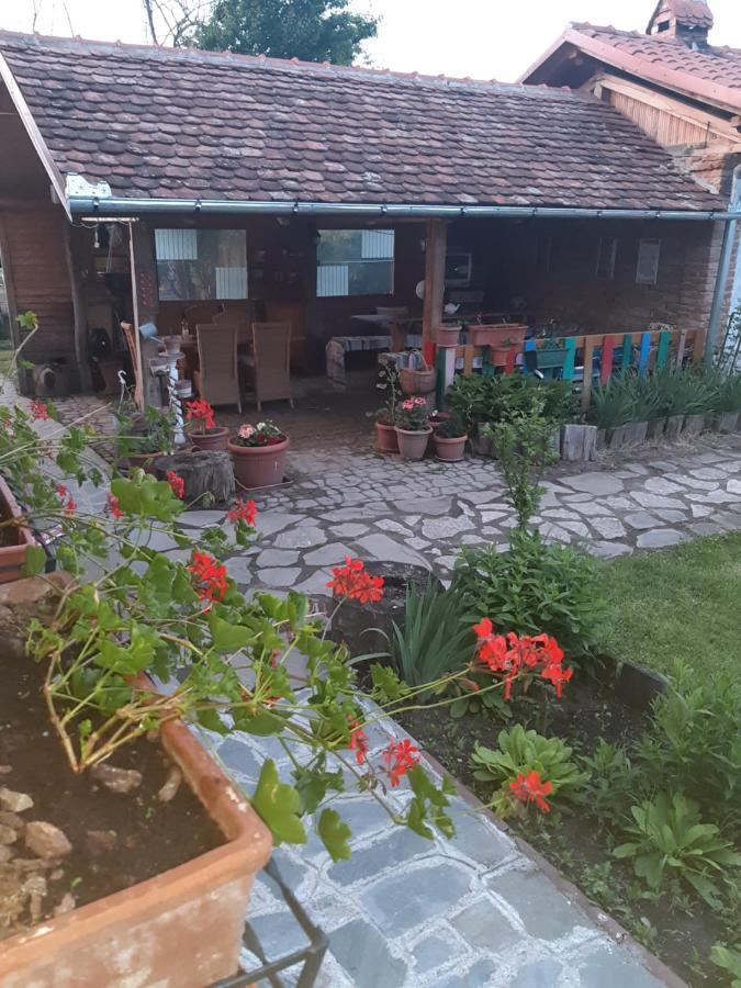 Cincu Casa Maria 아파트 외부 사진
