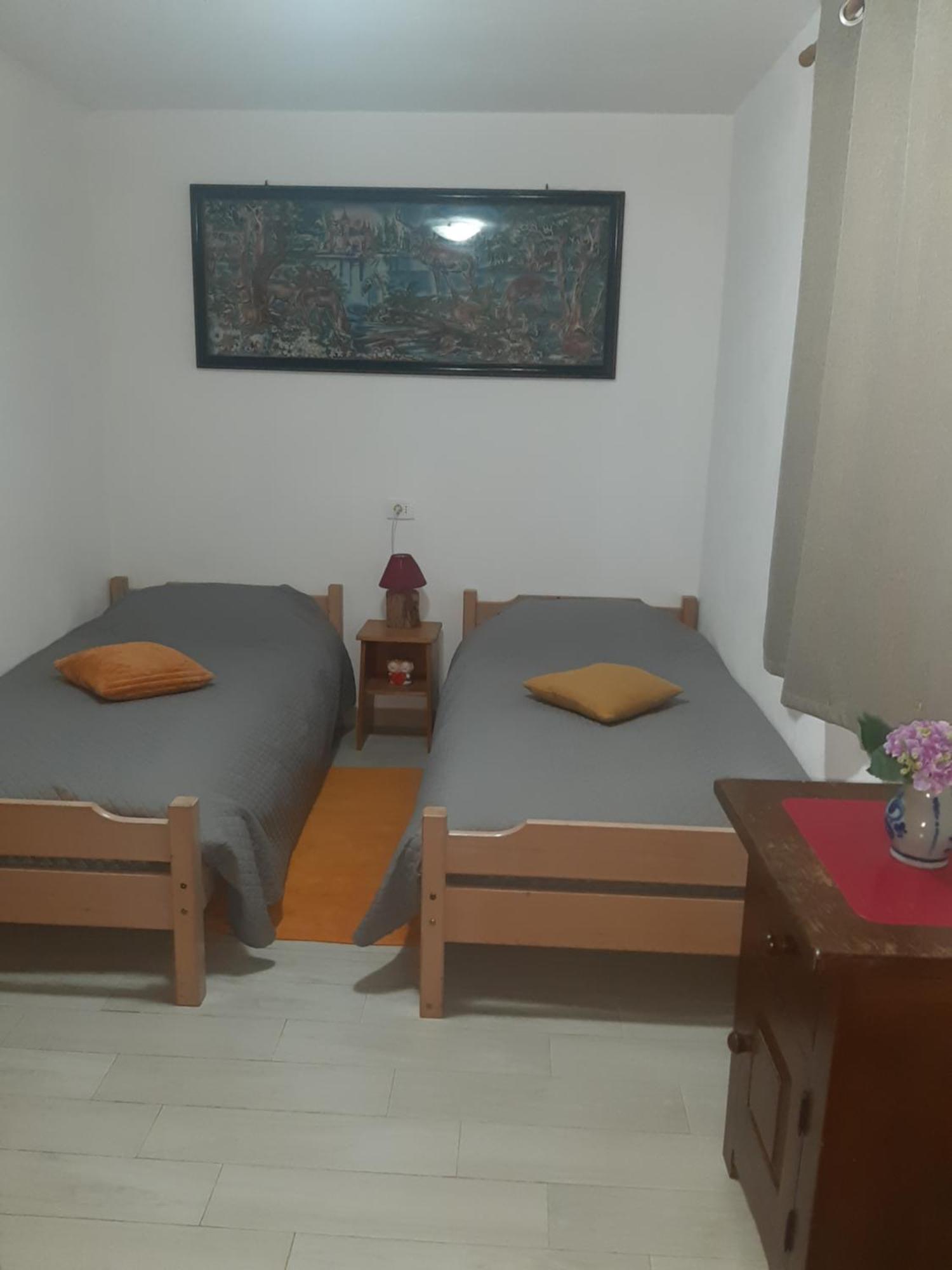 Cincu Casa Maria 아파트 객실 사진
